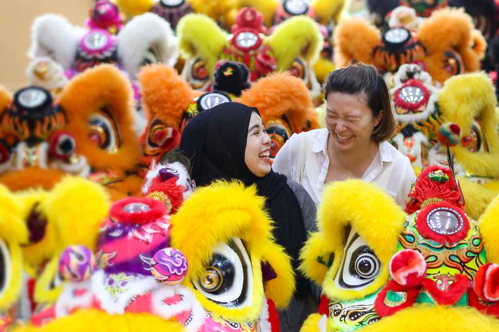 Multi-coloured lion dance display